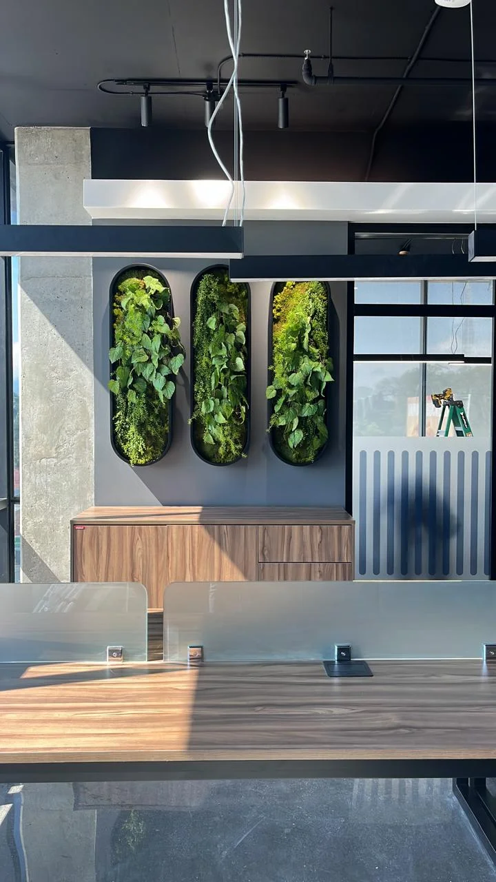 Tienda Epiko Oxígeno - Imagen 4