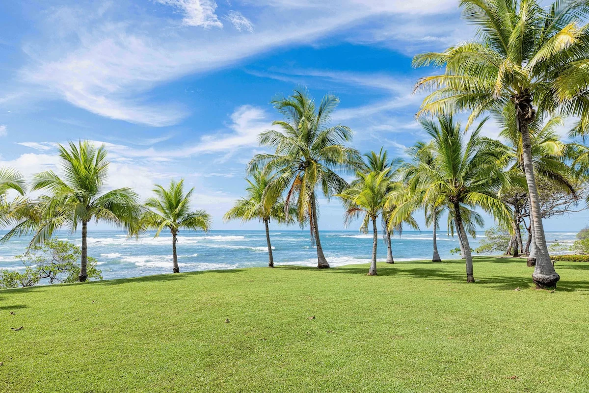 Villa Mantas New Pinilla - Imagen 51